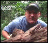 gifs_05.gif