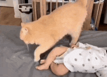1660846726_10.gif