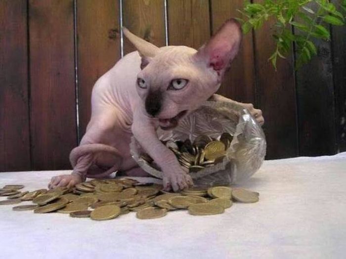 funny_and_strange_photos_44.jpg