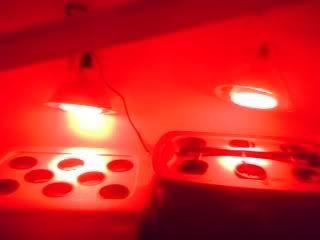 07-19-09_1357.jpg