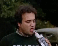 73zi.gif