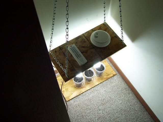 100_1719.jpg