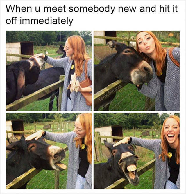 acid_picdump_77.jpg