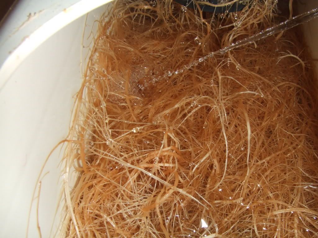DSCF1377.jpg
