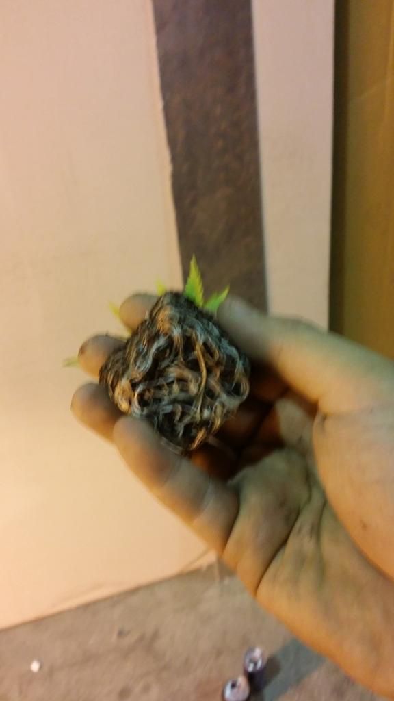 20140603_225543.jpg