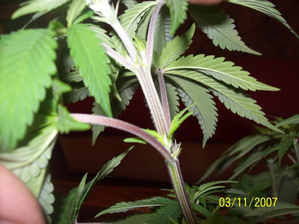 100_8377.jpg
