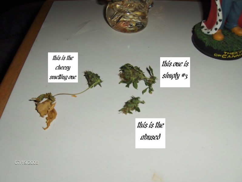 HPIM0916.jpg