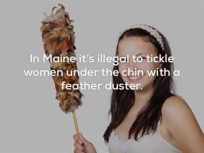 hilarious_laws_04.jpg