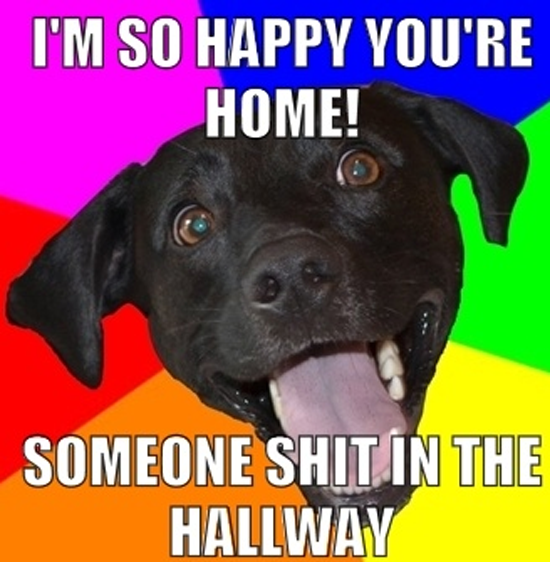funny-pictures40.png