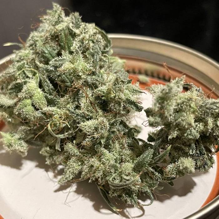 7577325_grow-journal-by-ehcndgrower_l.jpg