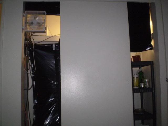 1104001.jpg