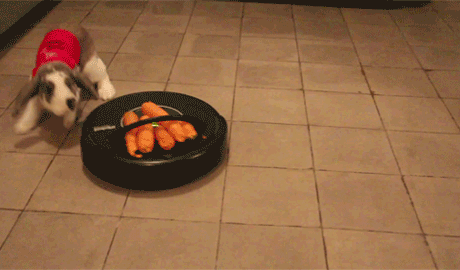 22acc2b8e303b7aca32a955ddca8da79.gif