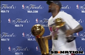 brontroll2.gif