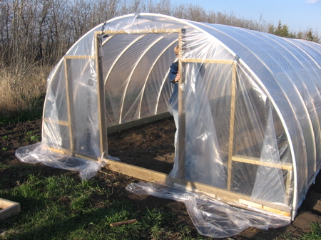 greenhouse11.jpg