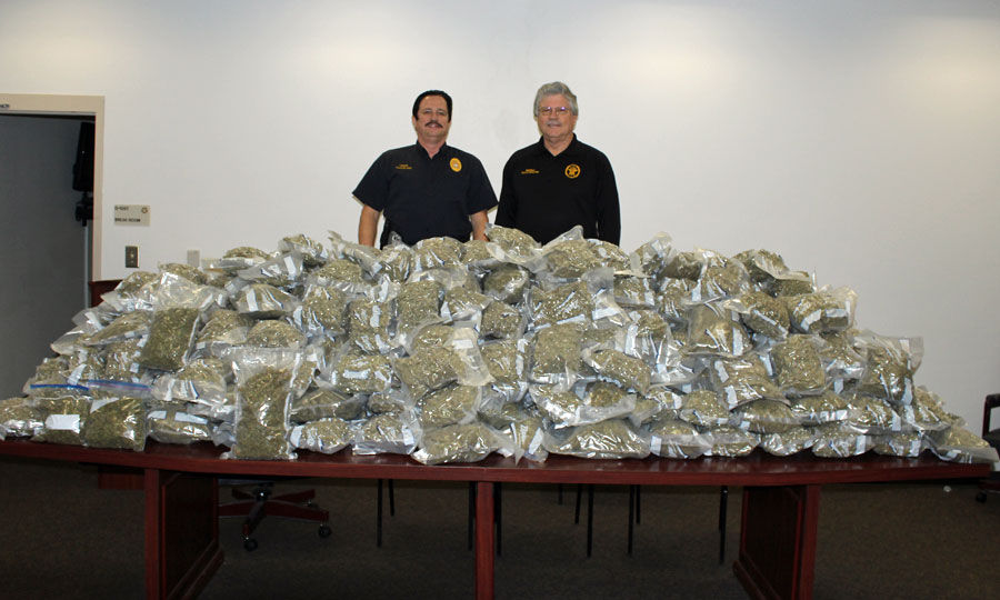 weedbust.jpg