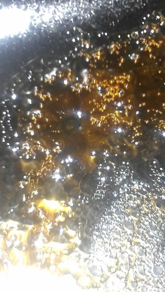 IMAG0854_zps155a3c7b.jpg
