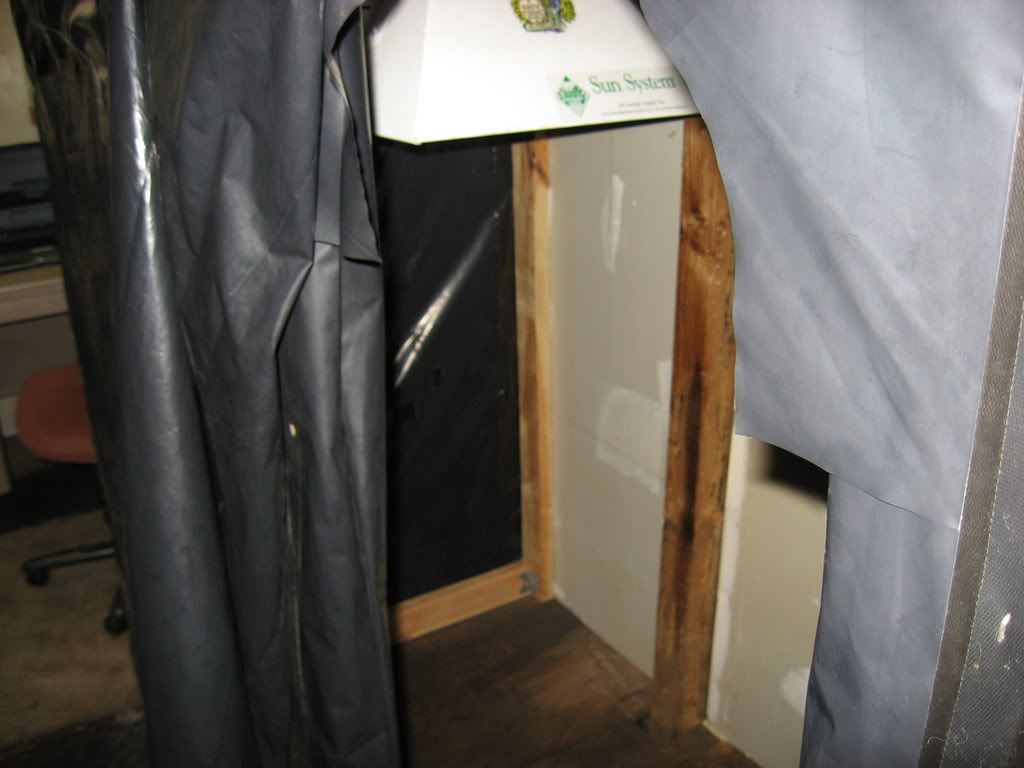IMG_2125.jpg