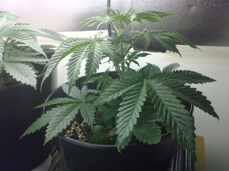 06102010494.jpg