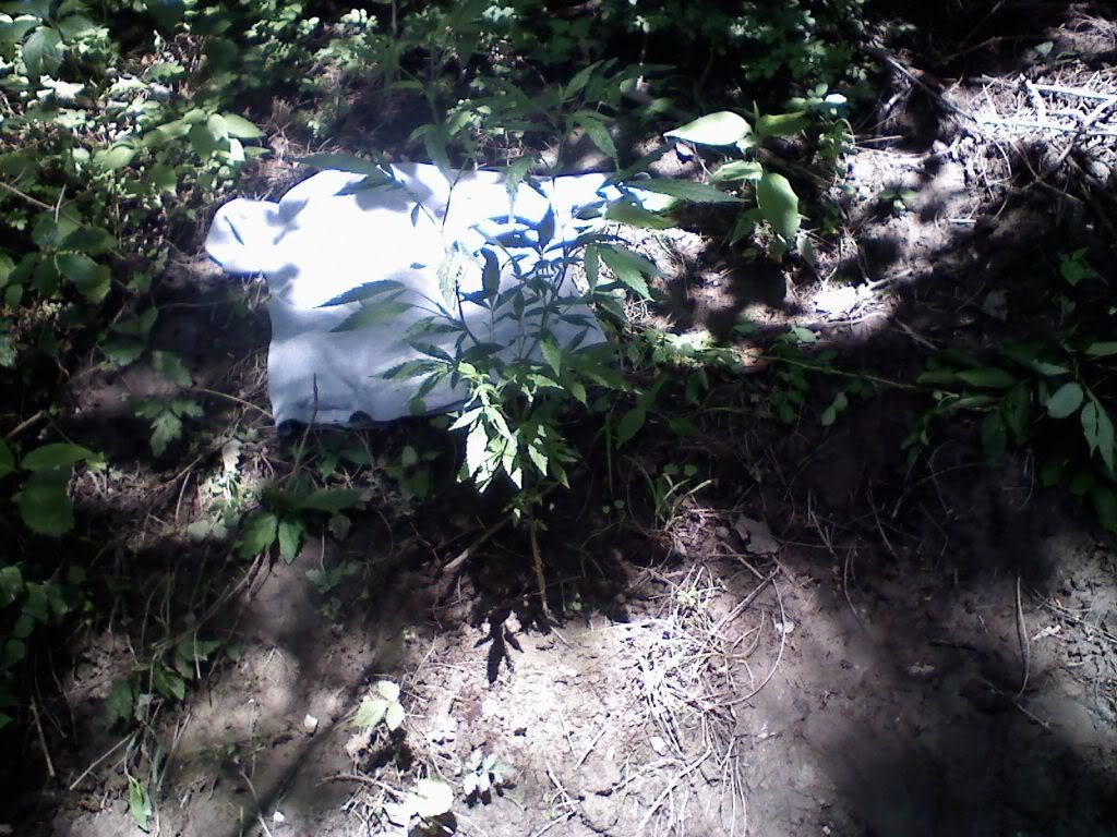 0615091407.jpg