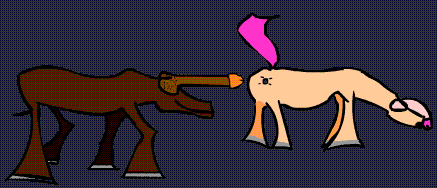 ngbbs44873e3579044.gif
