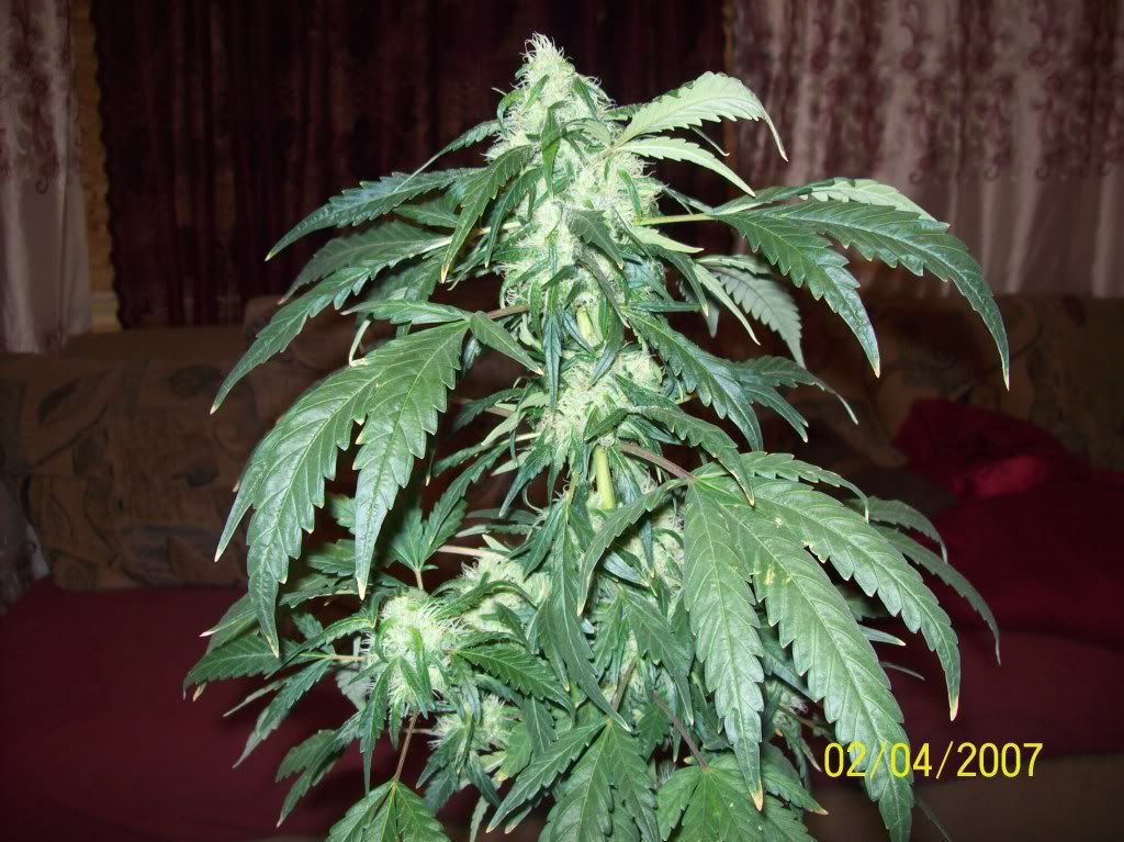100_7998.jpg