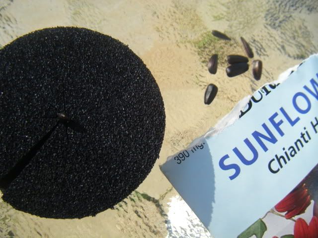 DSCF1530.jpg