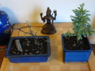 IMG_0328.jpg