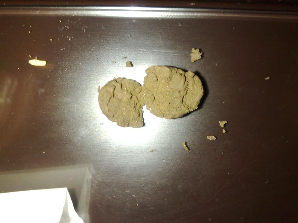 12112009765.jpg