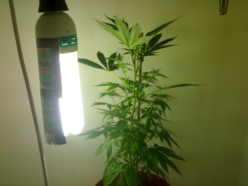 10102007186.jpg