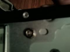 Picture1030.jpg