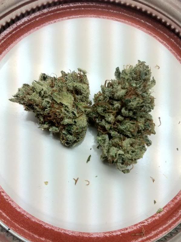 grow139.jpg