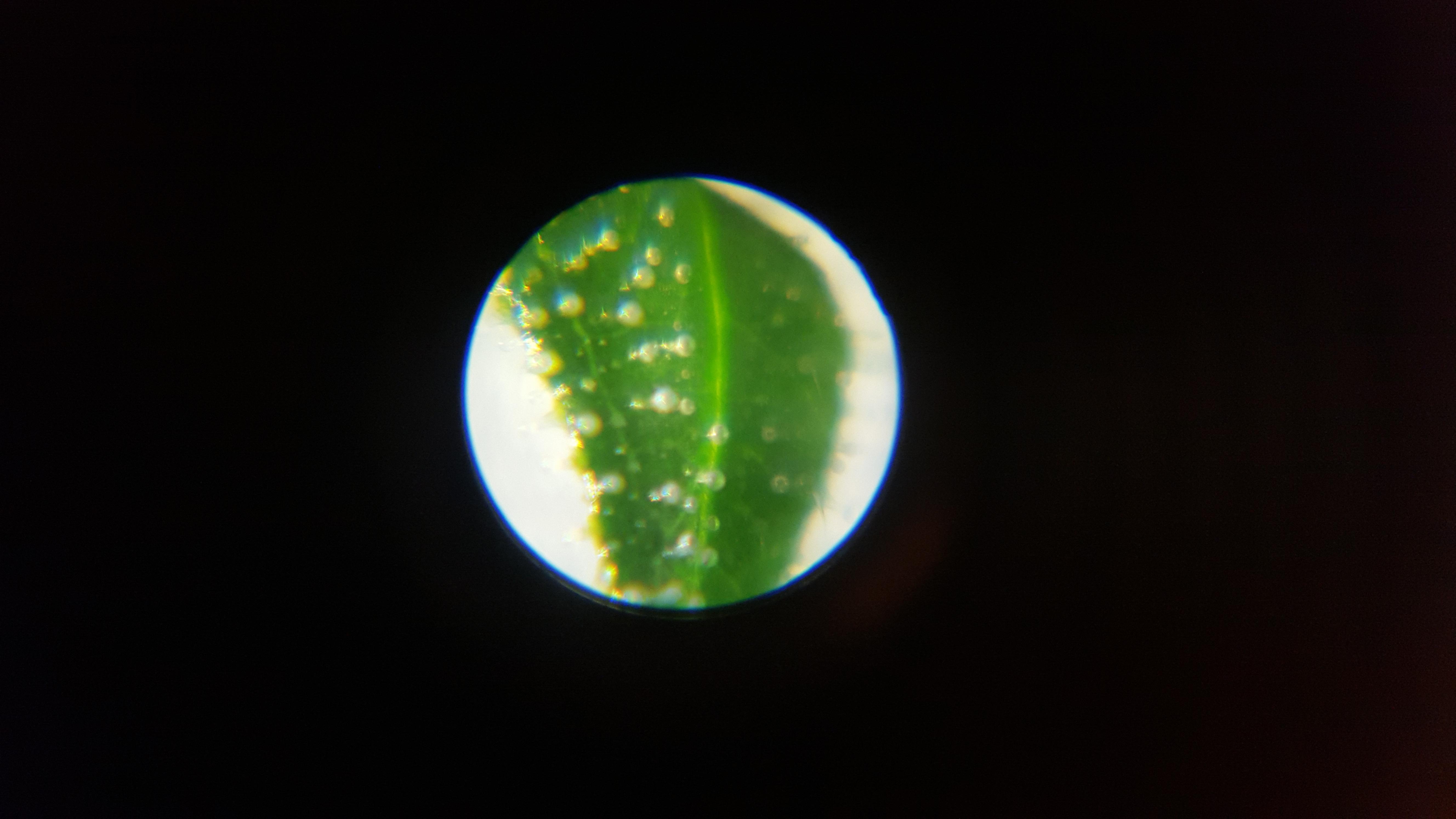 iQf7MrL.jpg