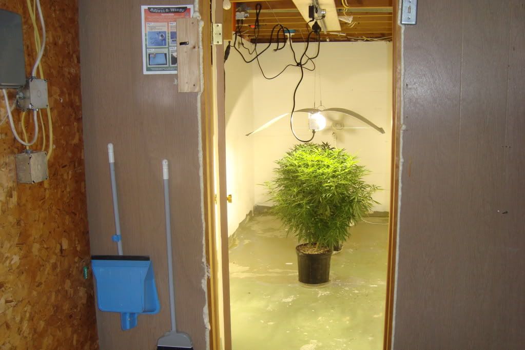 DSC03302.jpg