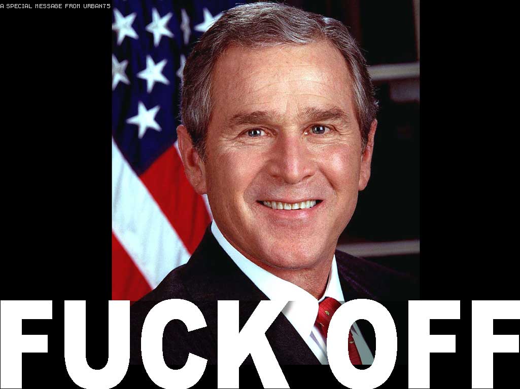 bush1024.jpg