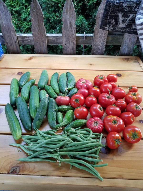 harvest3a.jpg