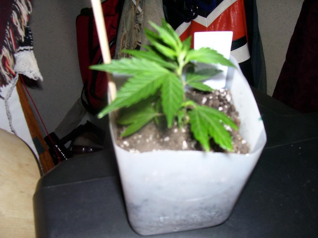 100_0756.jpg