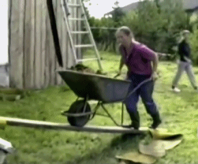 gifs_09.gif