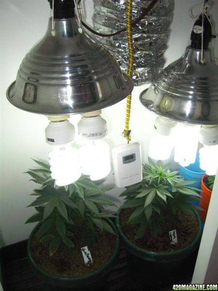 BB_CC_Grow_Update_Sep_13_046.jpg