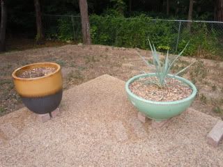 DSCN0840.jpg