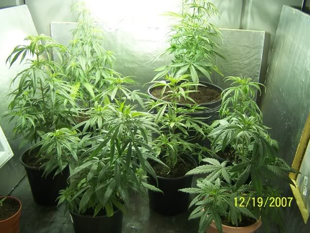 Picture003.jpg