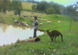 gifs_23.gif