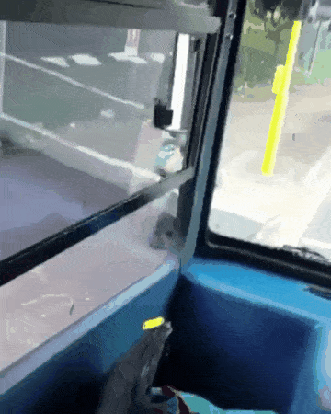 gifs_08.gif