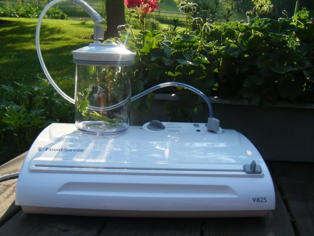 DSCF1539.jpg