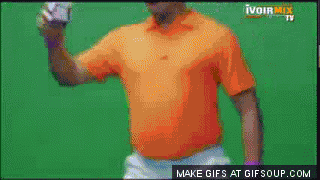 9gNgx4.gif