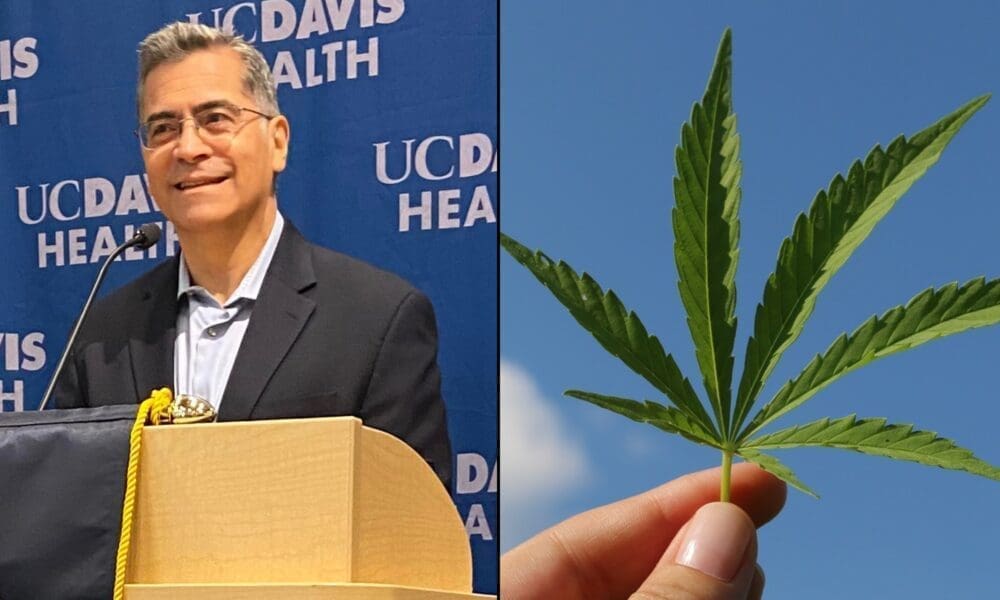 www.marijuanamoment.net
