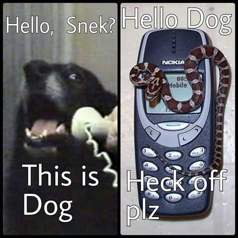 e0b.jpg