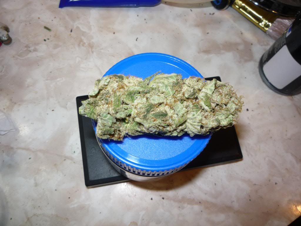 P1050580_zps3d60ced9.jpg