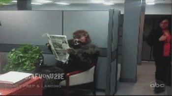tumblr_mf57fuwtcf1r3gb3zo1_400.gif