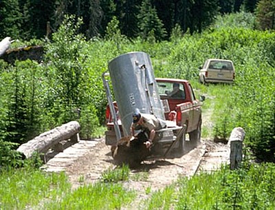 how_not_to_release_a_bear_07.jpg