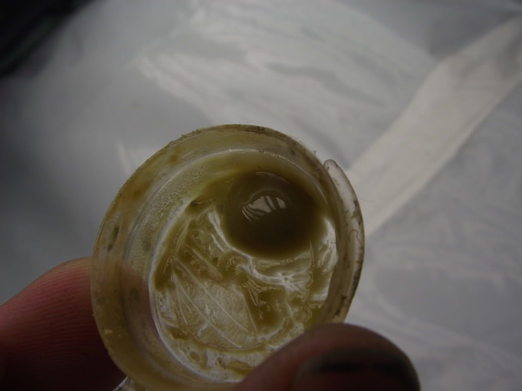 DSCF2101.jpg